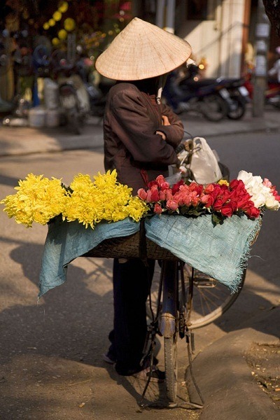 marché fleurs hanoi vélo