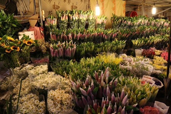 marché fleurs hanoi 