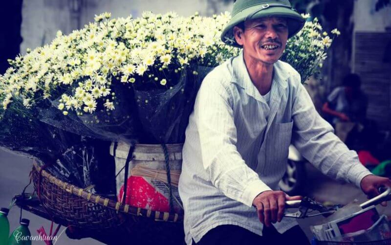 Octobre - Saison de "Cuc hoa mi" Hanoi